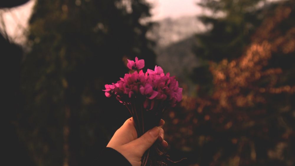 how-fast-to-plan-a-proposal-in-Georgia